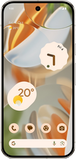 Test online on Pixel 9